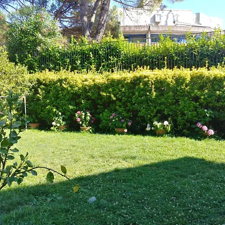 Apartment Paguro *